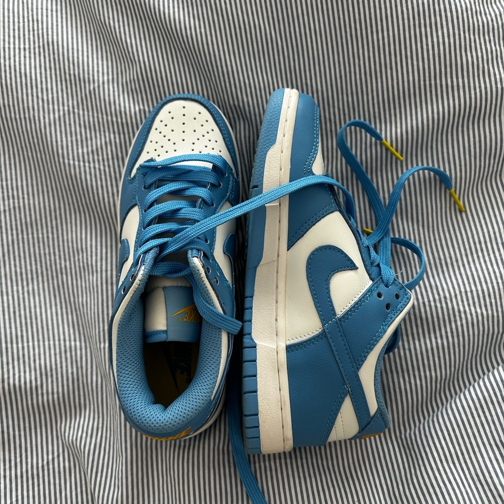 Nike dunk low coast